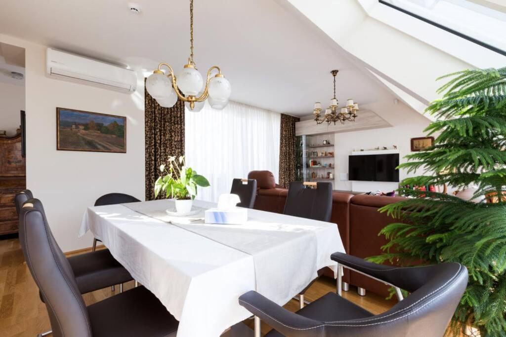 Grosses Penthouse #12 Mit Terrasse Und Aussicht Apartment เวียนนา ภายนอก รูปภาพ